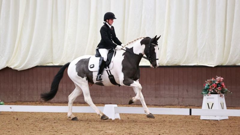 British Dressage Summer Area Festival